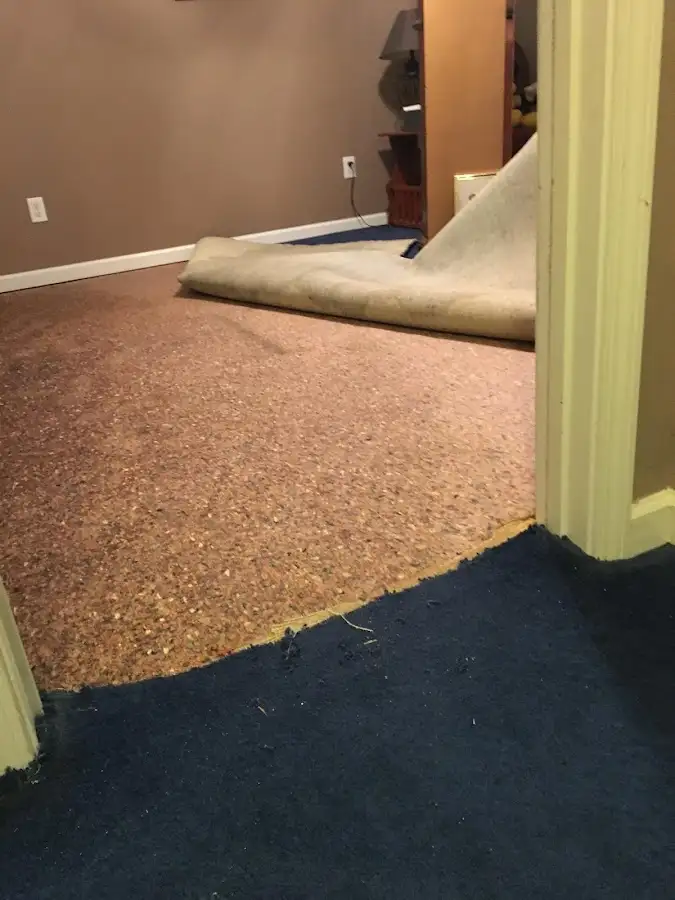 Carpet pad removal revealing water damage during Water Mitigation Services in South Abington
