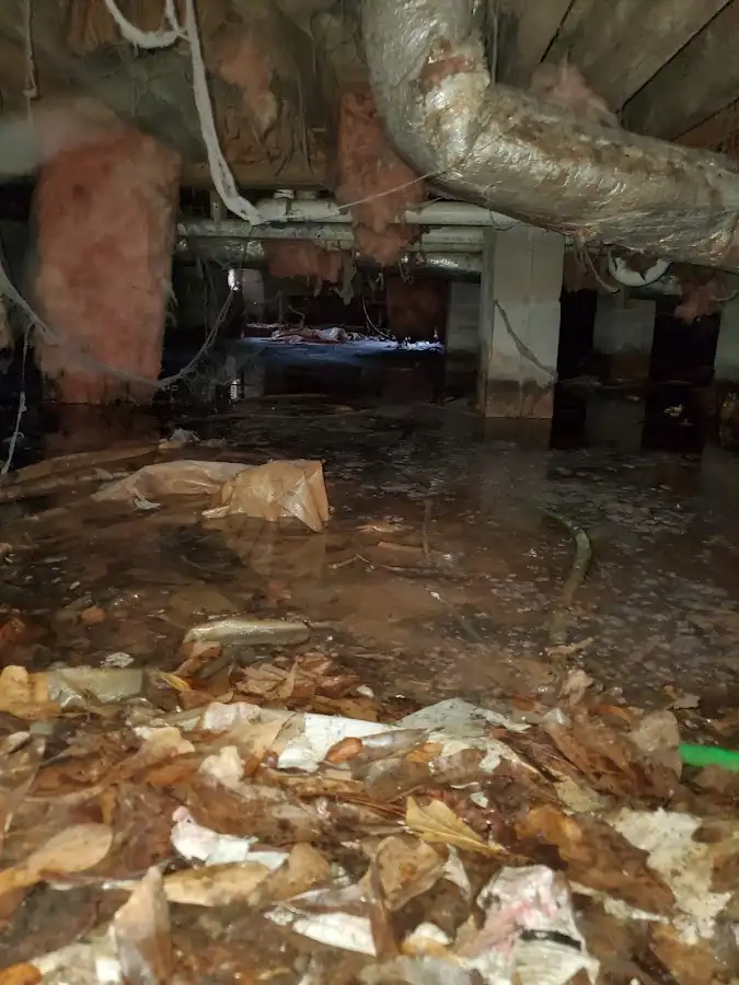 Crawl space flood assessment for Leak Detection & Repair in South Abington